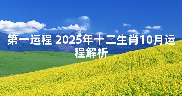 第一运程 2025年十二生肖10月运程解析